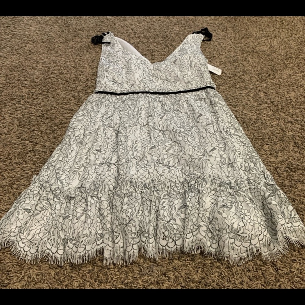 Cupcakes & Cashmere Elegant Black and White Lace Dress